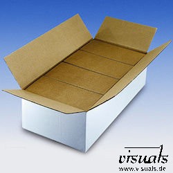 visuals Karton Faltbox CD425 wei&szlig; -  545 x 270 x 153 - VE : 20