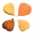 Flora Bl�tter gelb/orange - � 200 St�ck - VE : 1 Set
