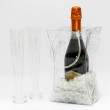 Cool and Fresh Weinverpackung Sektk�hler Flaschenk�hler Bocksbeutelk�hler