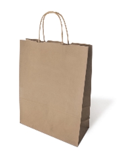 300 Papiertragetaschen Geschenktüten Papiertüten Weihnachten 22+10x28cm m Kordel 300 Papiertragetaschen Geschenktüten Papiertüten Weihnachten 22+10x28cm m Kordel
